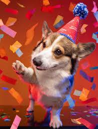 Birthday Gotcha Day Bandanas