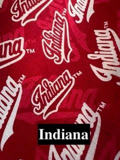 College Teams Bandanas