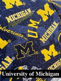 College Teams Bandanas