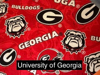 College Teams Bandanas